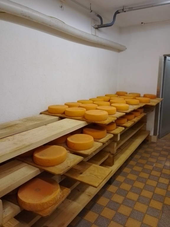 Alpkäse